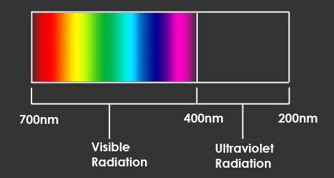 wavechart2 (1).jpg