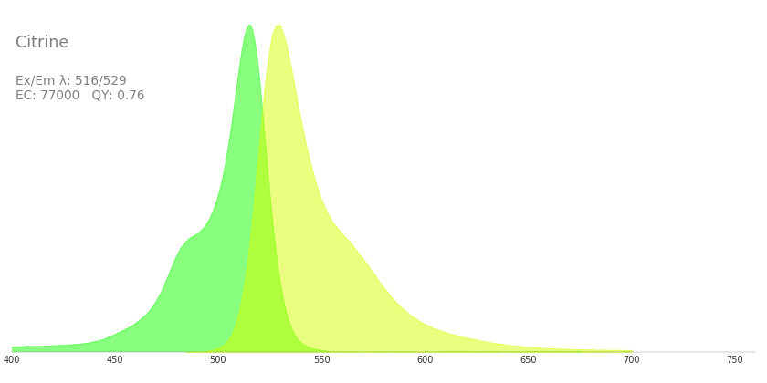 Citrine黃色熒光蛋白的激發波長